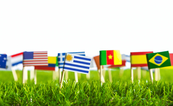 Watch for Look-Alike Flags 