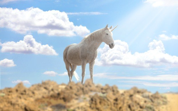 Scotland – Unicorn